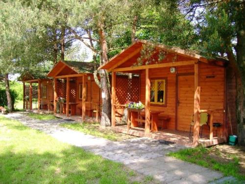 eine kleine Holzhütte im Wald mit Bäumen in der Unterkunft Przystań Wodna Brody in Styków