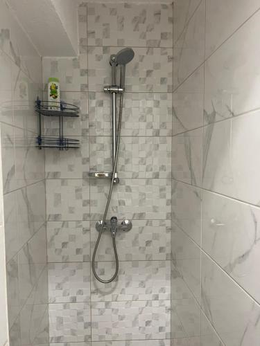 a shower with a shower head in a bathroom at Apartments Astoria HN in Herceg-Novi