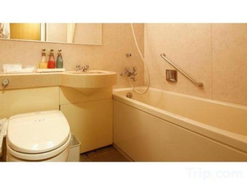a bathroom with a toilet and a tub and a sink at Ako Park Hotel in Ako