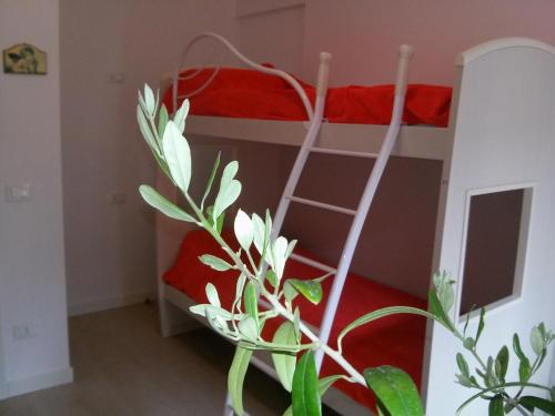 a bedroom with a bunk bed with a plant at Il Nido del Cigno in Sirmione