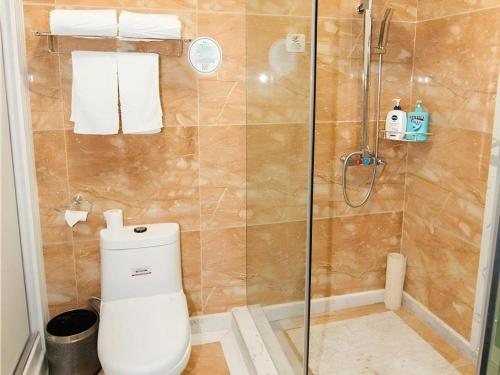 a bathroom with a shower with a toilet and a glass door at GreenTree Alliance Anhui Hefei South Passenger Station South High Speed Railway Station Hotel in Hefei