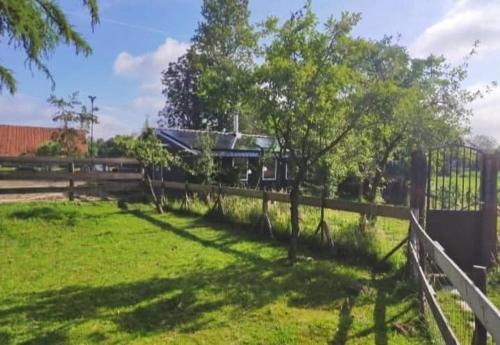 a fence with a tree in a field at Natuurhuisje Hoogeloon PMV in Hoogeloon