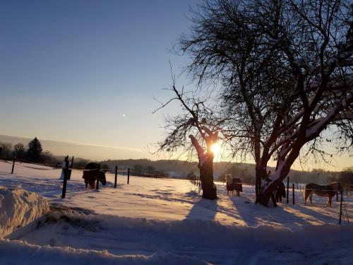 Το Urlaub Auf Der Aspen Ranch τον χειμώνα