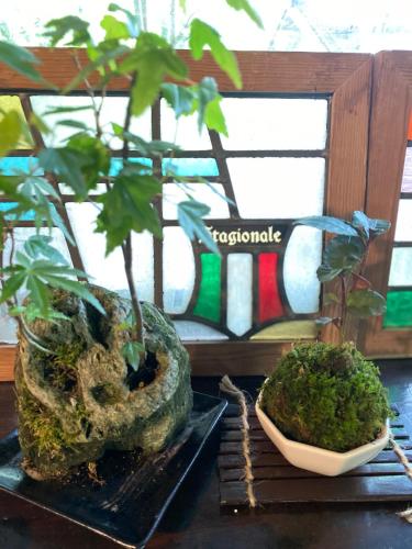 two potted plants sitting on a table next to a window at Flower Garden in Takamori