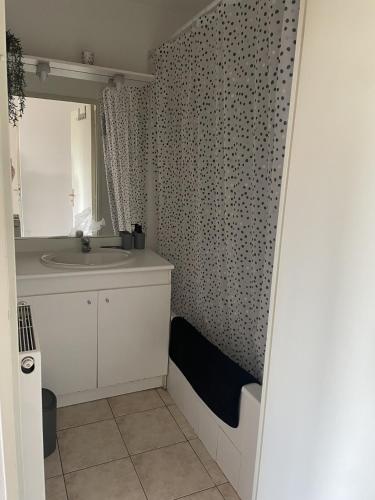 une salle de bain avec un lavabo et un miroir dans l'établissement T3- 2 Chambres ZENITH STRASBOURG TRAMWAY, à Strasbourg