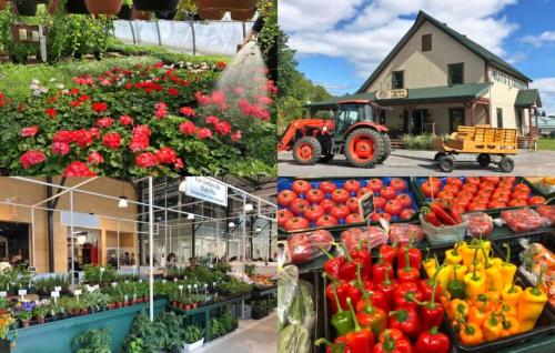 a collage of photos of a farmers market with flowers and a tractor at Condo 2 - Bord de l'eau SPA Barbecue & Foyer in Sainte-Anne-de-Beaupré