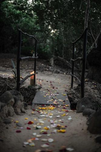 a path with confetti on the ground in a forest at Thulamela Couples Retreat in Hazyview