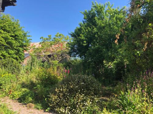 a garden with lots of plants and trees at Logaston Common Farmhouse in Woonton