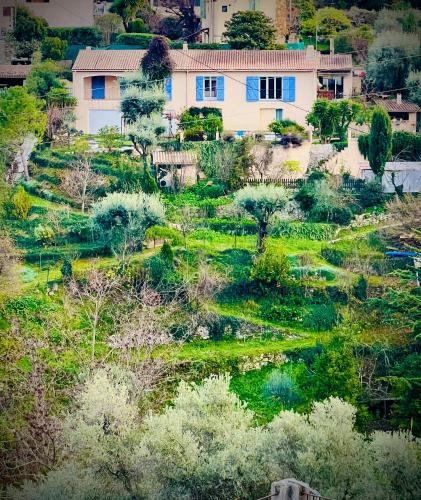 Artist House With View Over The Hills