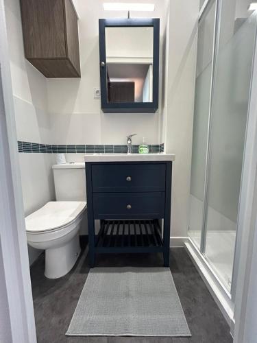 une salle de bain avec un lavabo, des toilettes et un miroir dans l'établissement Le Bleu des Pyrénées, à Lourdes
