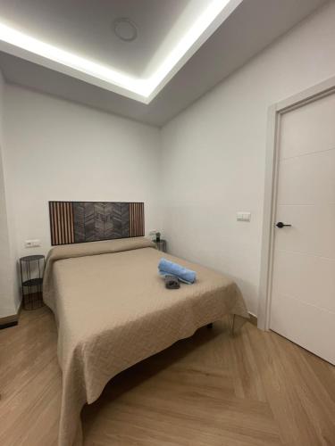 Carla suite home