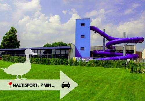 a swan is standing in front of a water park at Le gîte du Canard boiteux in Silly