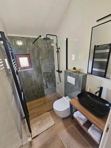 a bathroom with a shower and a toilet and a sink at Villa Lovor in Zaton