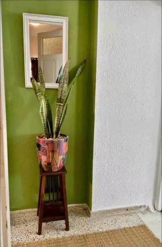 a plant in a vase on a table in a hallway at Sea View Appartement a la Marsa plage in Douar el Hafey