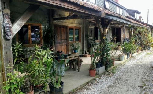 Κήπος έξω από το Plattelandservaring in alle rust en ruimte