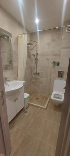 a bathroom with a shower and a toilet and a sink at Condo Santosha on the beach in Pomorie