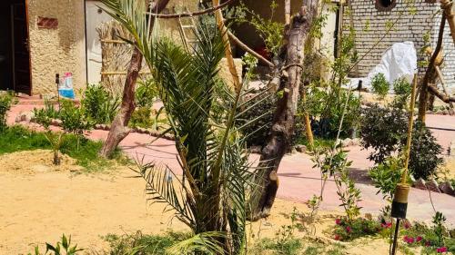 Ein Garten an der Unterkunft ادرار احكيك