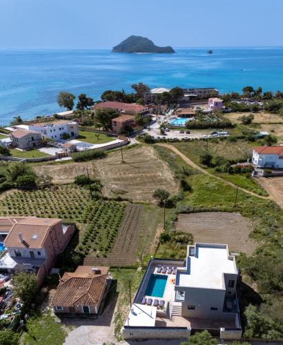 an aerial view of a house and the ocean at Artemis Villa in Lithakia