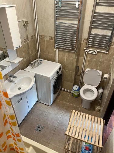 a bathroom with a toilet sink and a washing machine at House in the new center,Brasov in Braşov