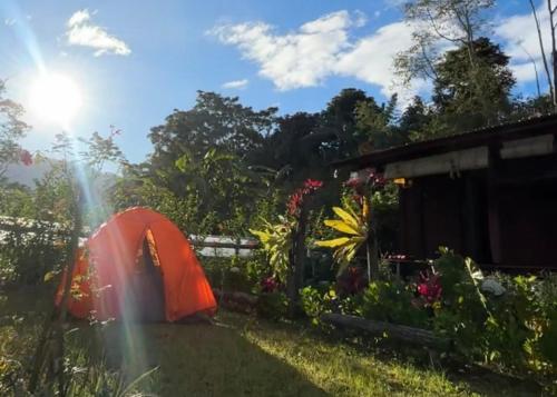 Κήπος έξω από το Yucan eco stay