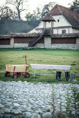 a ping pong table and a cart in front of a house at Casa Kraus in Criţ