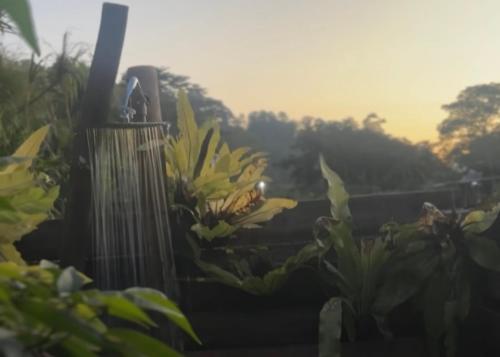 Κήπος έξω από το Yucan eco stay
