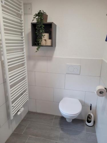 a bathroom with a toilet and a plant on a shelf at Bergwiese Mit Balkon in Nesselwängle