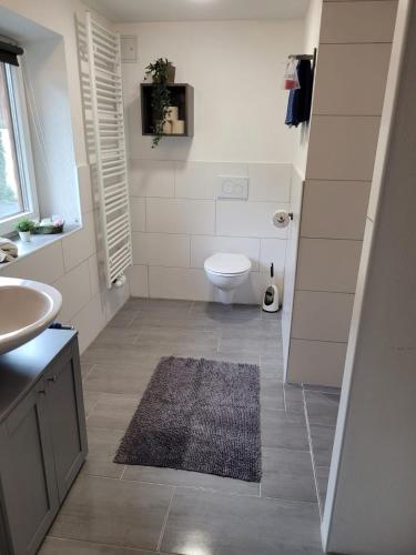 a bathroom with a toilet and a sink and a rug at Bergwiese Mit Balkon in Nesselwängle
