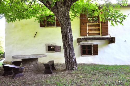 a tree and a picnic table next to a building at Stone House Kotli in Kotli