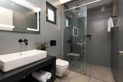 a bathroom with a sink and a toilet and a shower at Artemis Villa in Lithakia