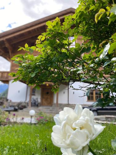 a white flower in the grass in front of a house at Panoramasuite in Flattach