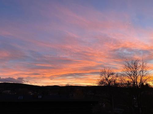 a sunset in the sky with trees in the foreground at Gästehaus Siebert in Bad Brambach