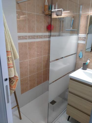 La petite salle de bains est pourvue d'une douche et d'un lavabo. dans l'établissement MAISON Estivale Royan Vaux sur Mer, à Vaux-sur-Mer