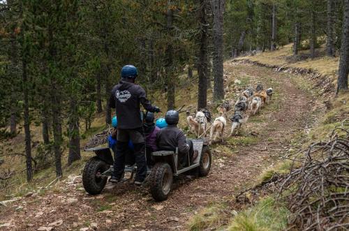 a group of people on a quad bike with a group of dogs at Refugi de l'Arp in Montargull de la Vansa