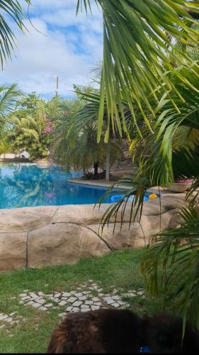 a swimming pool with blue water and palm trees at Chalés Refúgio Fortim in Fortim