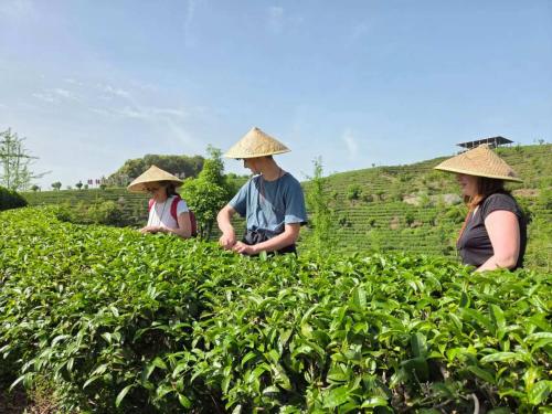 three people wearing hats sitting in a tea plantation at Yangshuo Lisa Boutique Hotel in Yangshuo