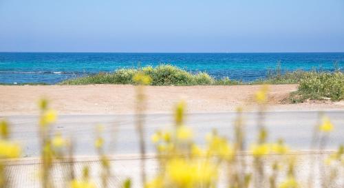 Suite on the beach photo 35