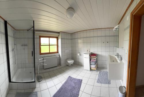 a bathroom with a shower and a toilet and a sink at Ferienwohnung Schäfer in Rinchnach