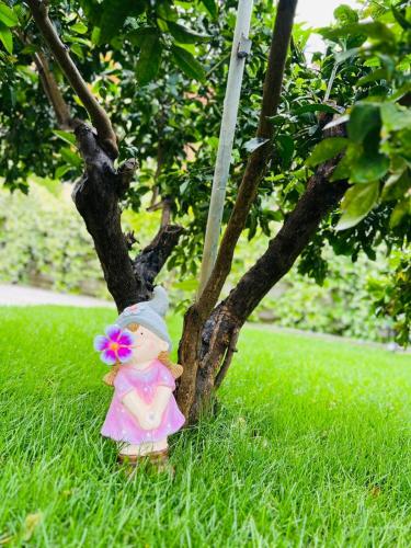 a doll sitting in the grass next to a tree at SARVI Apartments in Durrës