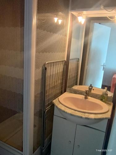 une salle de bain avec un lavabo et un miroir dans l'établissement Studio à Valras, à Valras-Plage