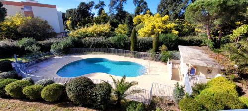 une piscine dans un jardin avec des arbres et des buissons dans l'établissement Apartment Albatros - am Strand mit Meerblick und Pool by Riviera HomeLife, à Saint-Raphaël