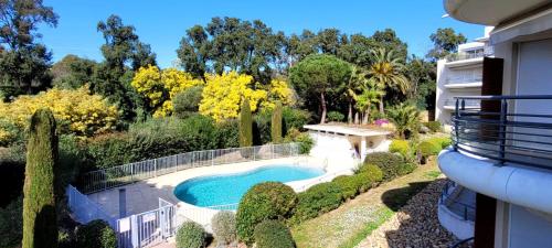 Apartment Albatros - am Strand mit Meerblick und Pool by Riviera HomeLife