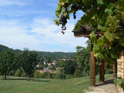 une vue depuis un vignoble avec une grappe de raisin dans l'établissement L'Isba, à Sarlat-la-Canéda