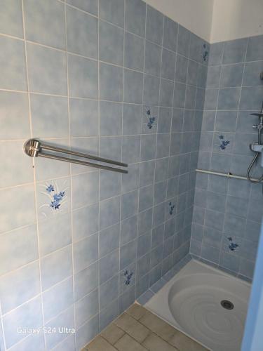 a bathroom with a shower with blue tiles at Haubette in Meurville