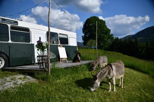 Tiny House Feeling mit Weitblick