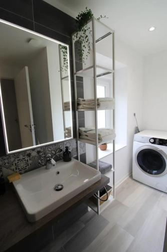 une salle de bain avec un lavabo et un miroir et une machine à laver dans l'établissement Gîtes La Source du Rey avec terrasse et jardin, à Remoncourt