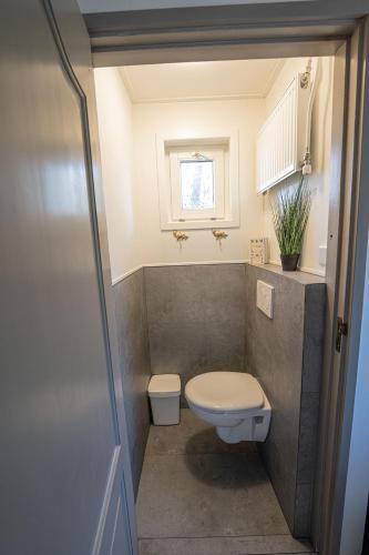 a small bathroom with a toilet and a window at 't Eekhoornnest in Soest