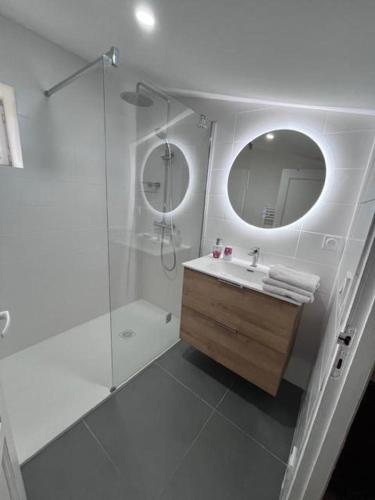 une salle de bain avec une douche, un lavabo et un miroir dans l'établissement Domaine Saint Antoine, à Rieux-Minervois