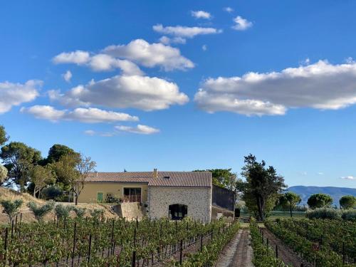 Domaine Saint Antoine