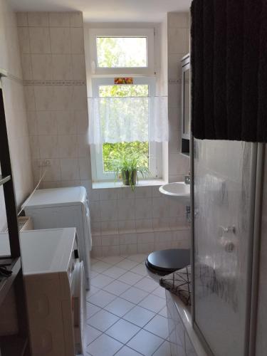Un baño con inodoro, lavabo y ventana. en Mikra Homes24 in Chemnitz, en Chemnitz